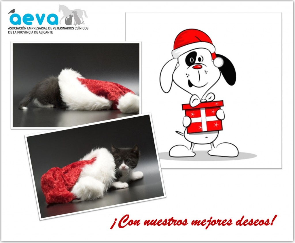 AEVA os desea felices Fiestas