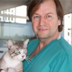 Isidor Mollà: “El Congreso AEVA es una magnífica oportunidad para abordar los temas que preocupan a las clínicas veterinarias”.