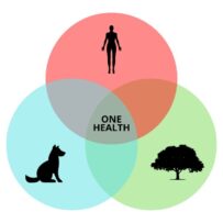 Día Mundial del One Health: ¿qué significa?